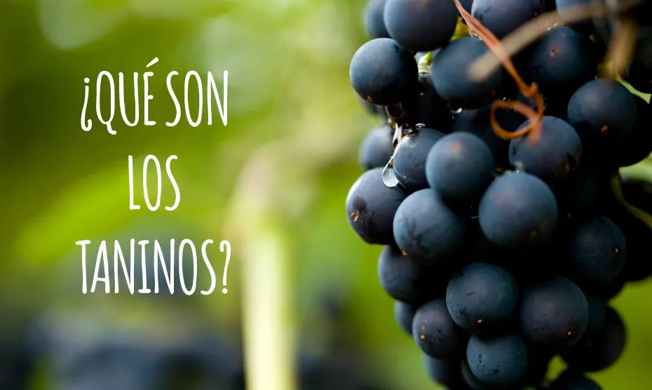 ¿Qué son los taninos?