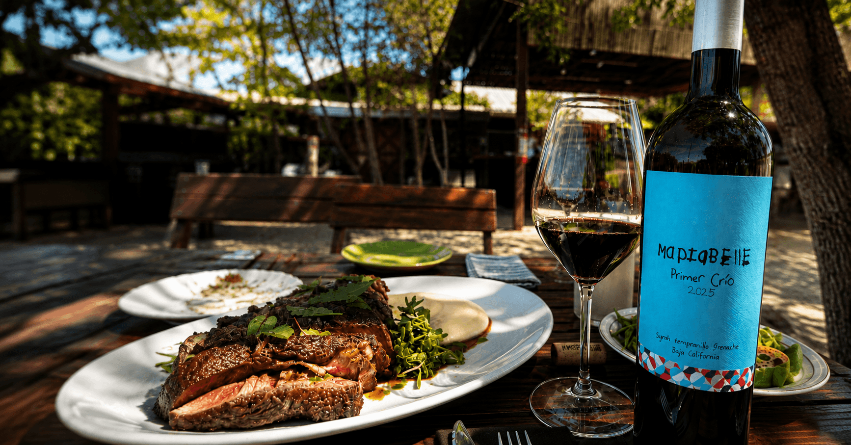 Vino tinto acompañado de gastronomía en Valle de Guadalupe, Baja California.
